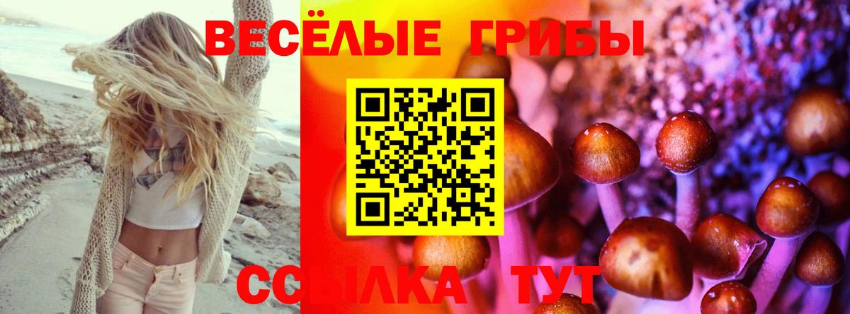 Псилоцибиновые грибы Cubensis Астрахань